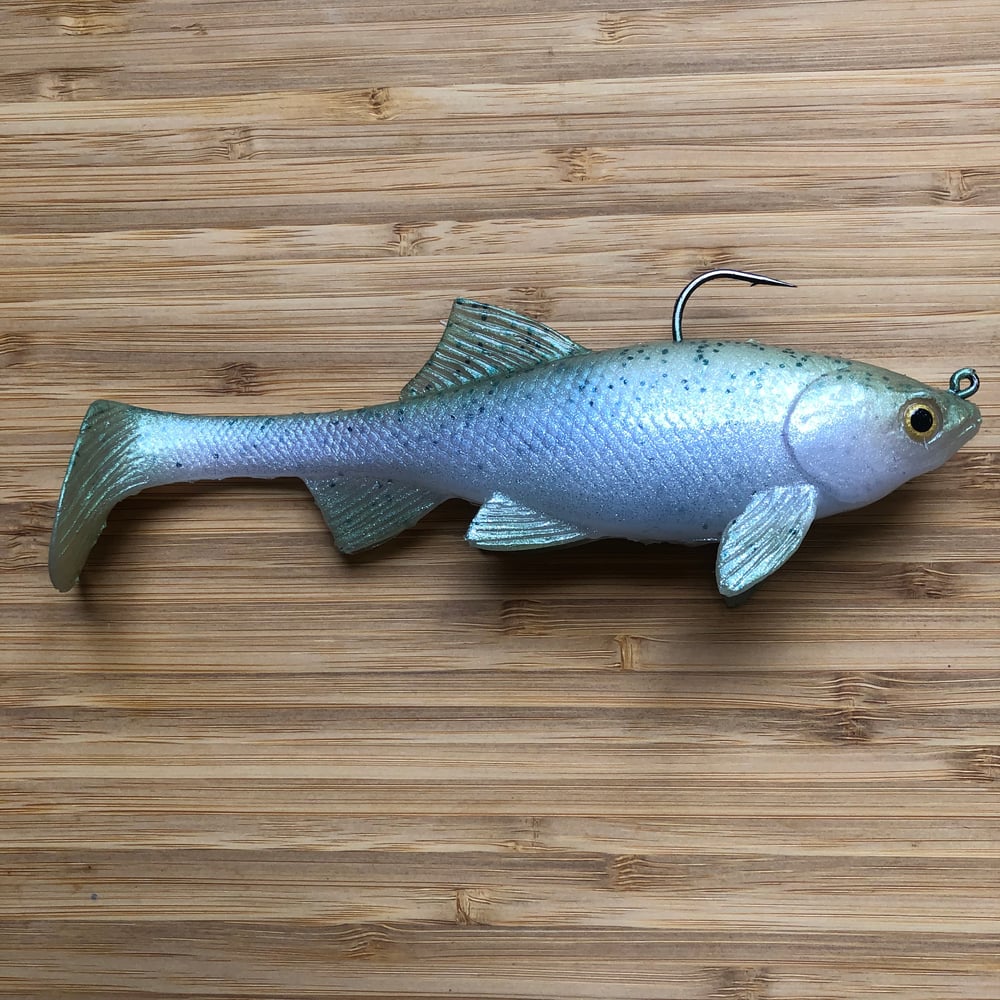 NEW! Loose Caboose | Light Trout