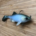 NEW! Loose Caboose | Green Back Shad