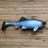 NEW! Loose Caboose | Green Back Shad