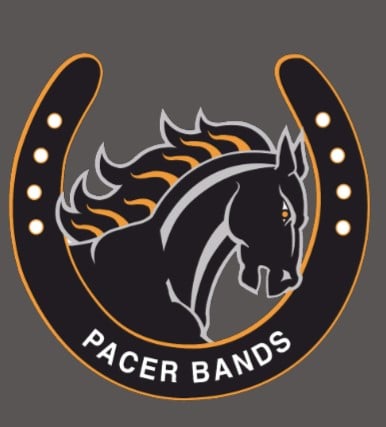 Image of 2 Designs: Stadium Fleece Blanket