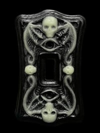 Image 2 of Light Switch Plate/Wall Plug Plate- Black and Glow
