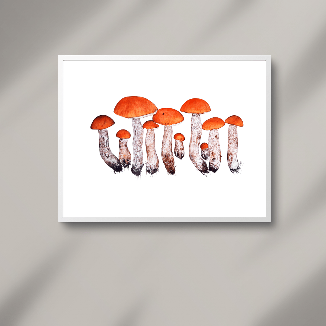Image of Leccinum versipelle Mushroom Watercolor Illustration PRINT 