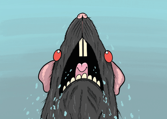 Image of Rat King Landlord: The Postcards