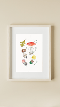 Image 5 of Amanita Muscaria Watercolor Illustration PRINT