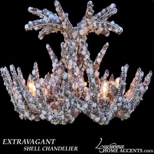 Image of Swarovski Crystal and Sea Shell Chandelier