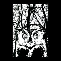 Image 1 of B&W Owl Screenprint