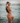 Bikini from 'Lake Me Away” Photoshoot