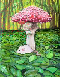 The Little Guy 🐁 🍄 