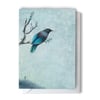 Solo Tui Greeting Card