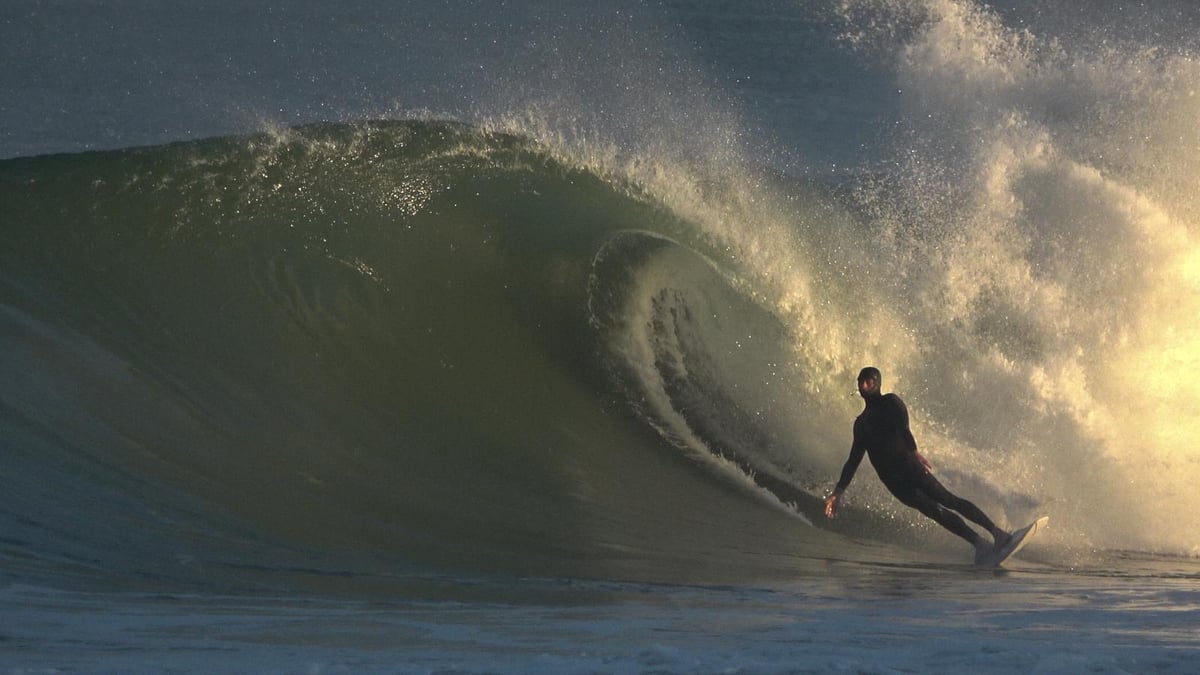 81ece4c7-a226-4f75-a19a-