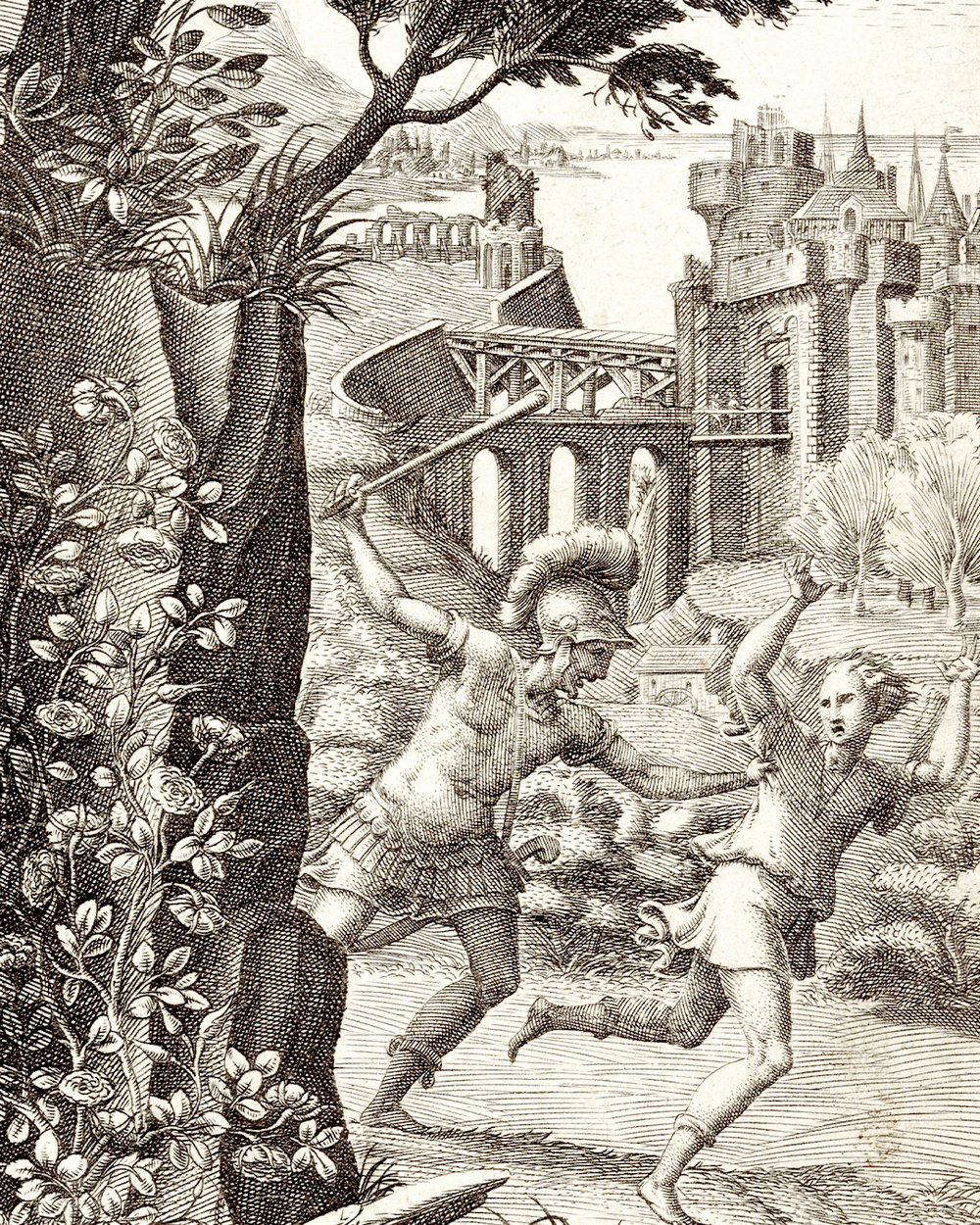 ''Venus and the rose'' (1530 - 1582)