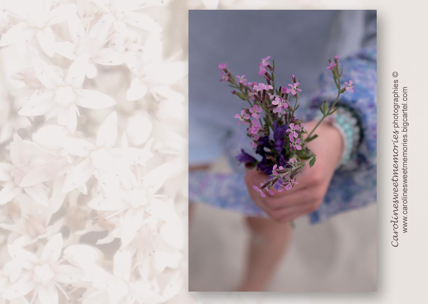Image of Fleurettes violettes | carte postale