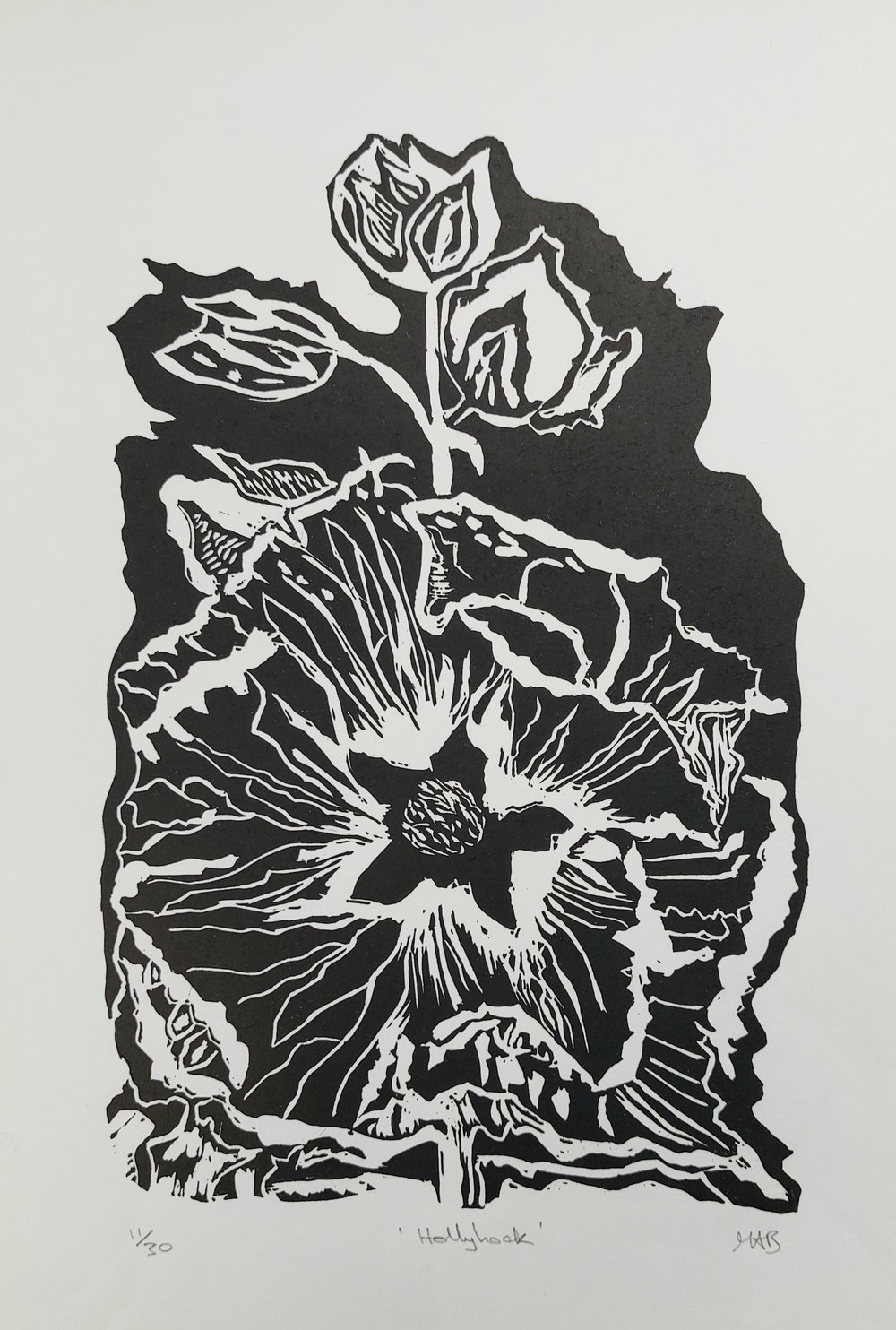 Image of Hollyhock 
