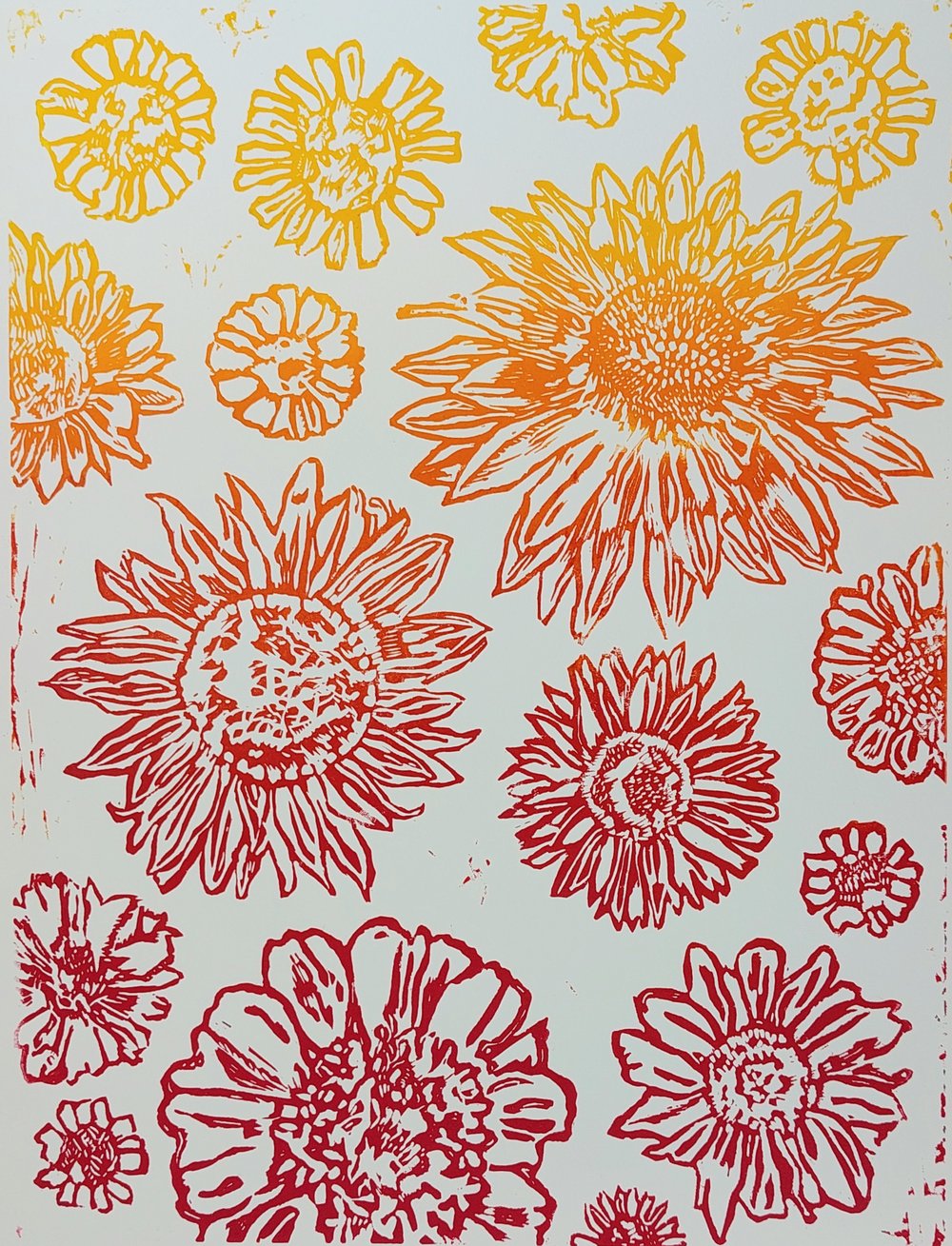Image of Sunflowers, Zinnia, Rudbeckia 