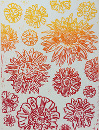 Sunflowers, Zinnia, Rudbeckia