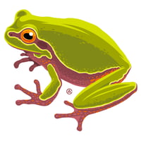 Image 1 of Pine Barrens Treefrog: 4" Sticker