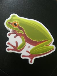 Image 2 of Pine Barrens Treefrog: 4" Sticker