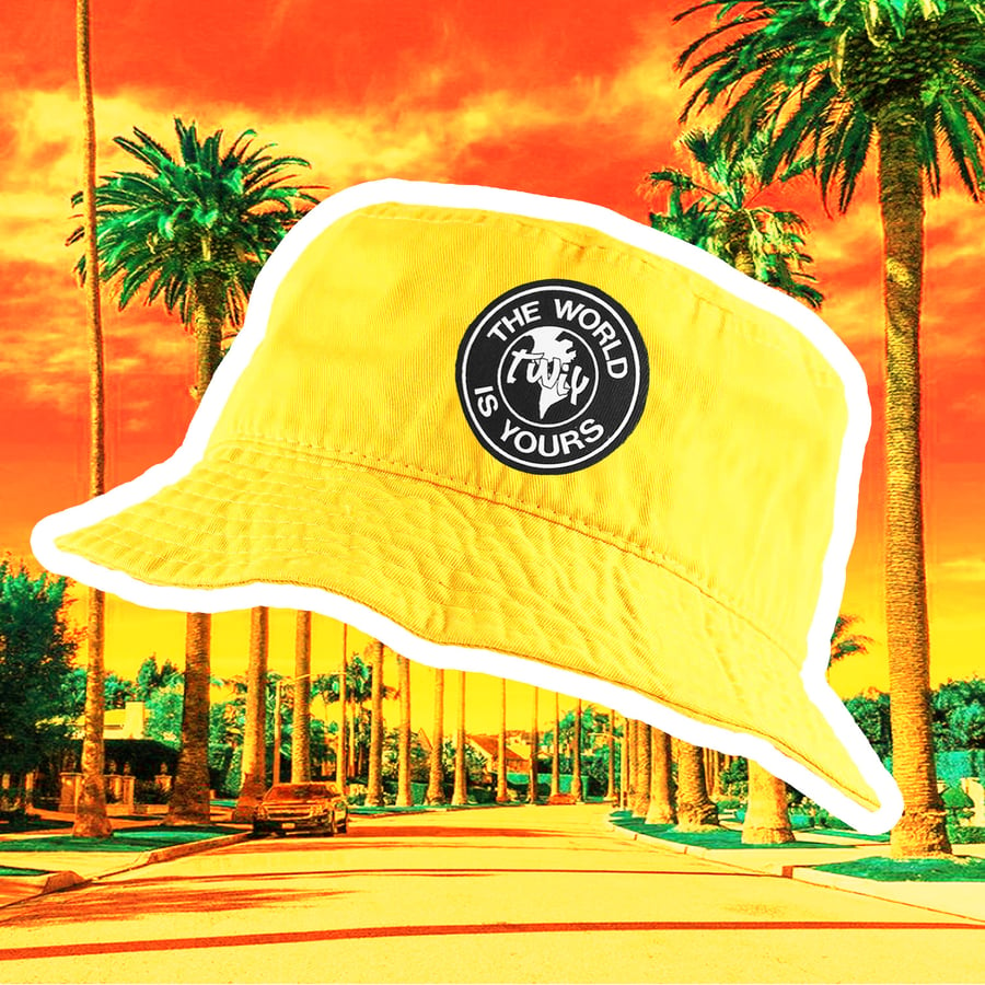Image of 𝗧𝘄𝗶𝘆 𝗣𝗶𝗻𝗲𝗮𝗽𝗽𝗹𝗲 (Bucket Hat)