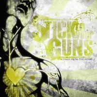 Stick To Your Guns - Comes From The Heart (CD) (Used)