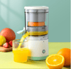 Mini Electric Juicer