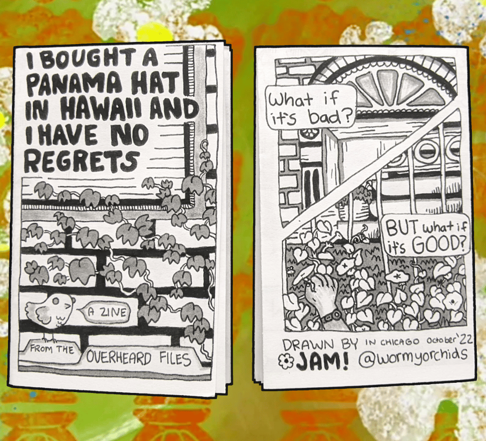 Image of I Bought a Panama Hat in Hawaii and I have No Regrets