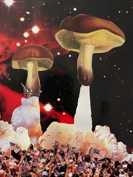 Image of mushroom rockets collage