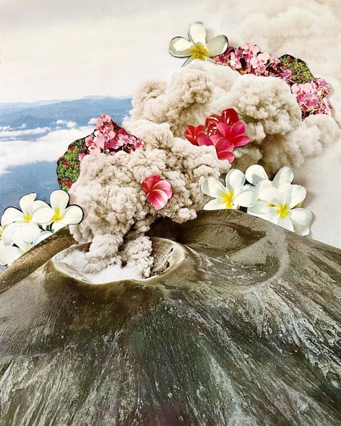 Image of flower volcano collage