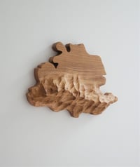 Image 1 of Sculpture murale de l'Ariège