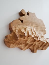 Image 2 of Sculpture murale de l'Ariège