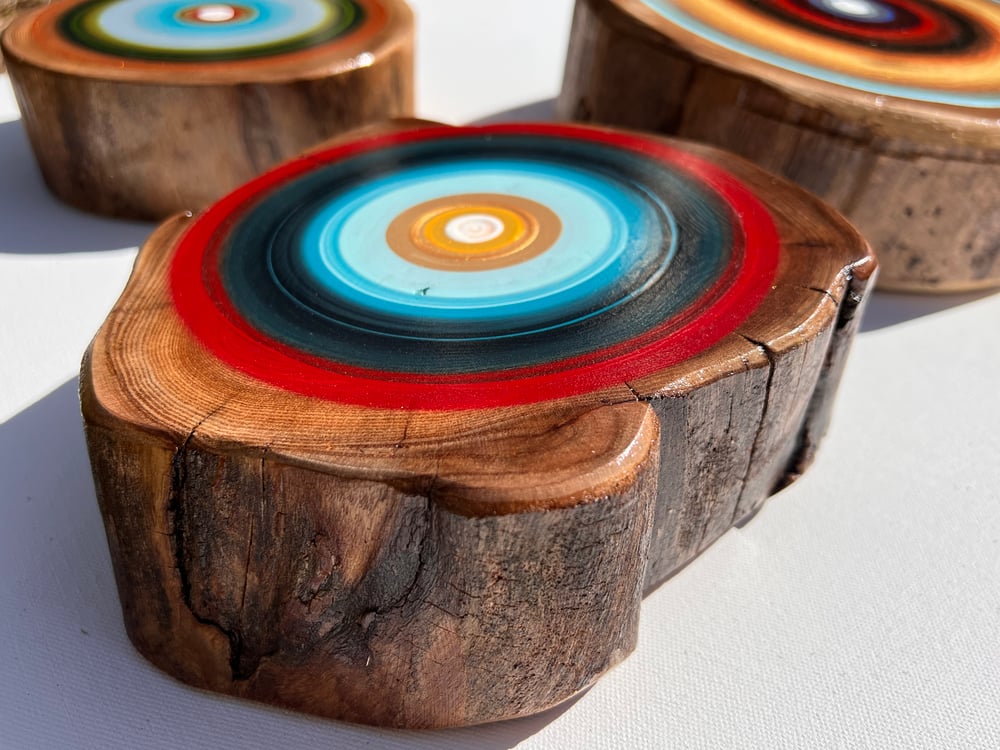 Mixed Sizes Tree Ring Paintings
