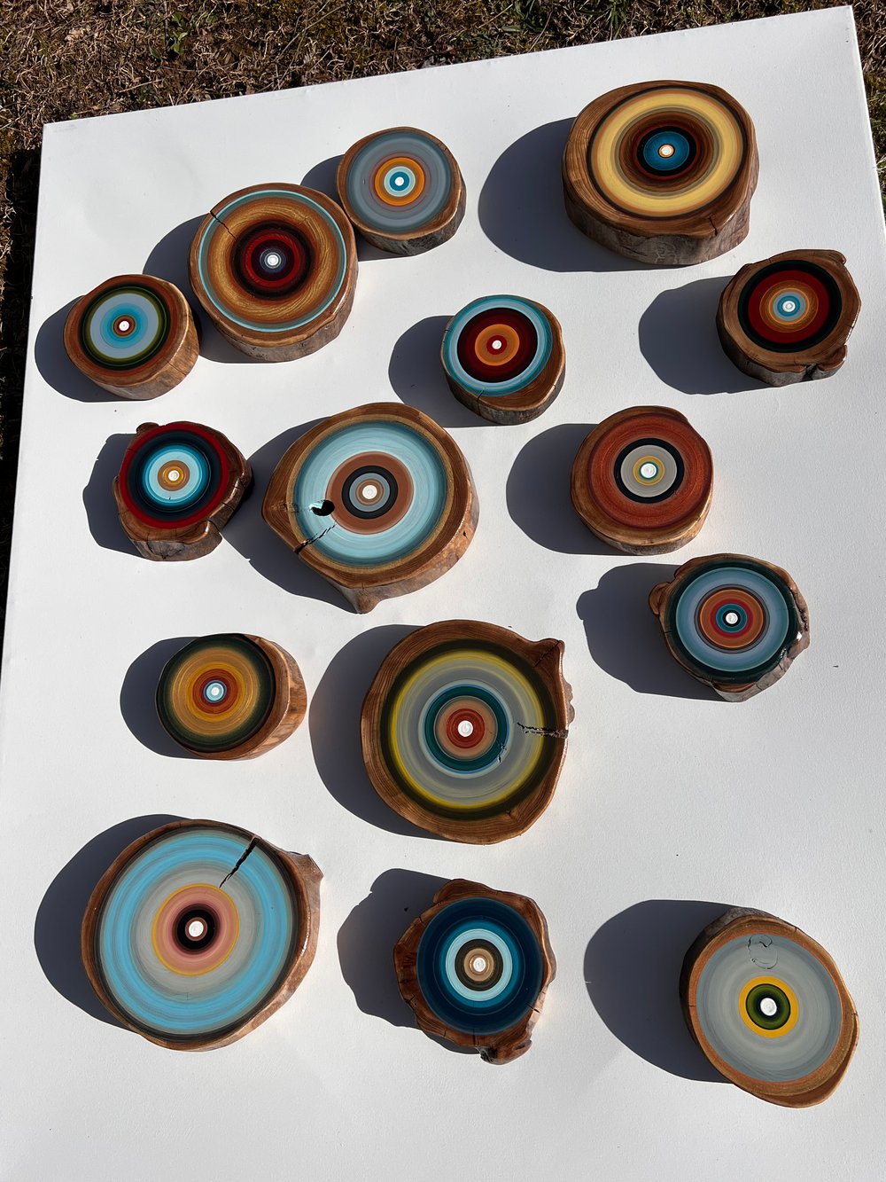 Mixed Sizes Tree Ring Paintings