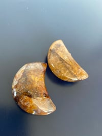 Golden Healer Moons