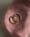 Image of Flat