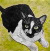 Custom Pet Portrait  - Acrylic on Stretched Canvas