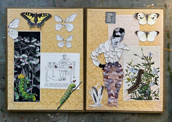 Image of livre de papillons - original, one of a kind collage