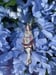Image of Butterfly Maid 