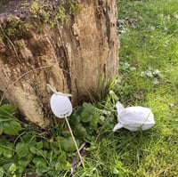 Image 5 of LA CHASSE AUX OEUFS