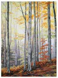 Image 1 of Birch Forest