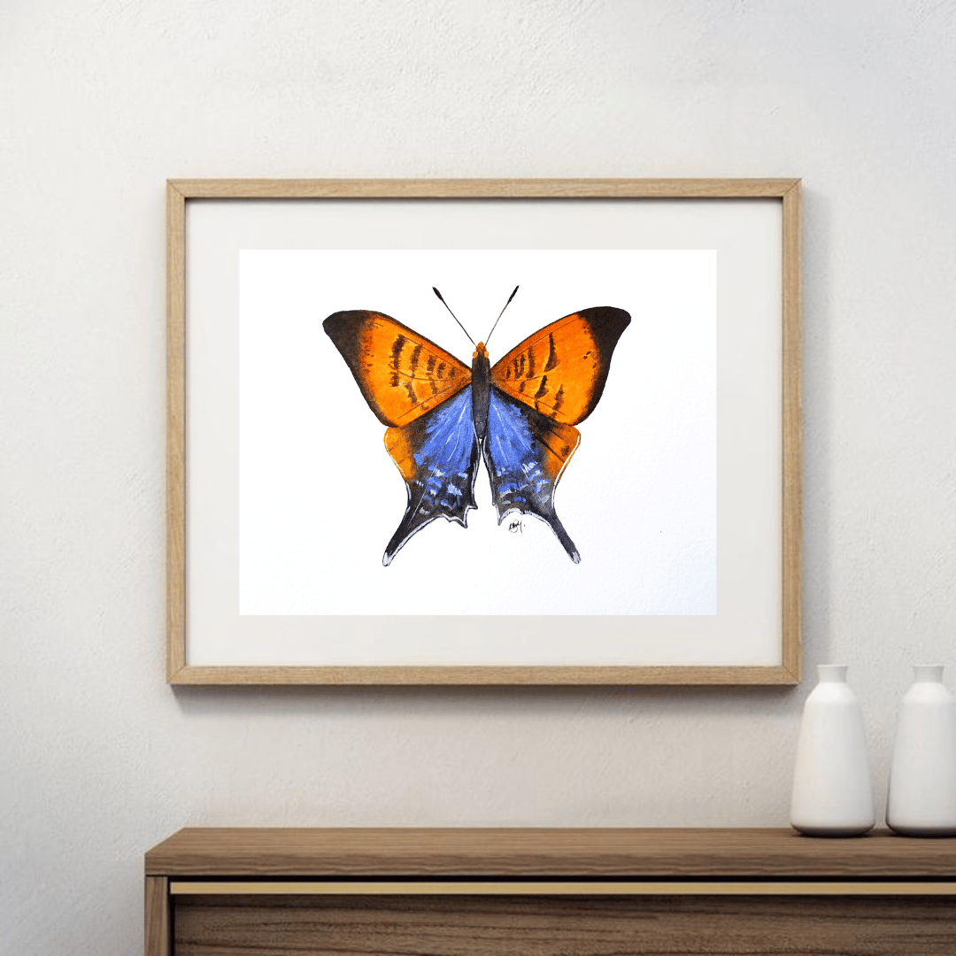 Image of Orange Banded Daggerwing Butterfly Watercolor Illustration PRINT 