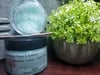 Summer leaves - Foaming Sugar Scrub