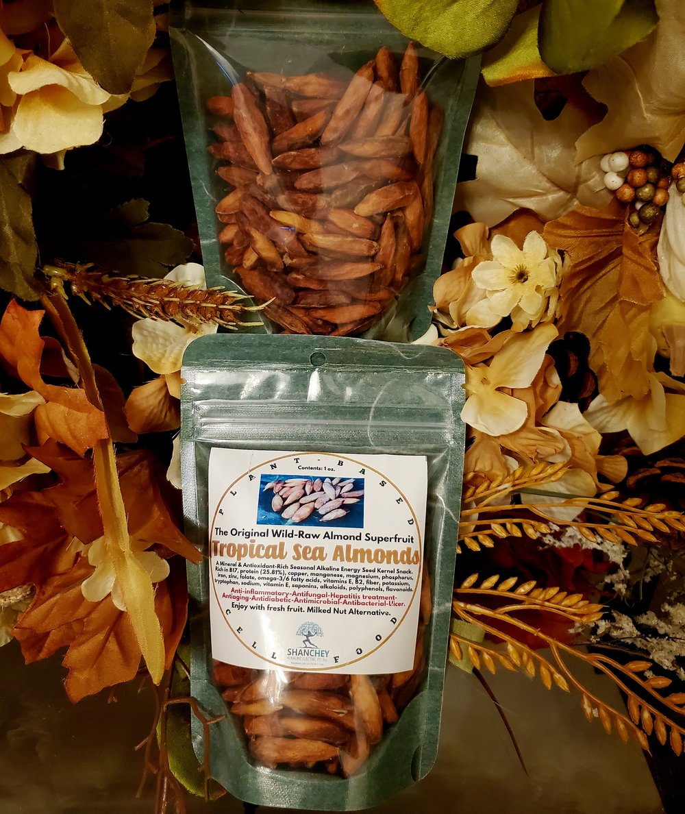 ORIGINAL-WILD Sri Lankan Sea Almonds Seeds. WILD PeaNOTS! Roasted Brazilian Baru Legume Seeds.