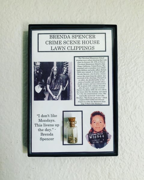 Image of Brenda Spencer "I Don't Like Mondays" Crime Scene Lawn Clippings Frame