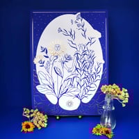 Image 1 of Le calendula & l'hélicryse 