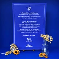 Image 3 of Le calendula & l'hélicryse 