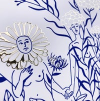 Image 2 of Le calendula & l'hélicryse 