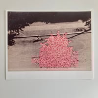 Image 1 of Giclée Print of artwork "A Slow Approach to Happiness" - 325gsm paper