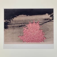 Image 1 of C-Type Photo Print of artwork "A Slow Approach to Happiness" 