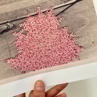 Image 3 of C-Type Photo Print of artwork "A Slow Approach to Happiness" 