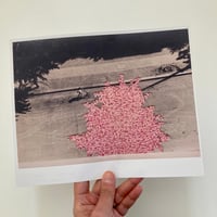 Image 2 of C-Type Photo Print of artwork "A Slow Approach to Happiness" 