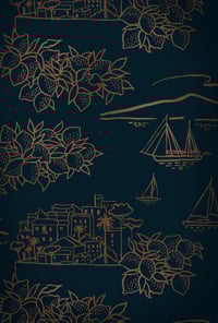 Image 2 of Limoneto - Midnight & Copper